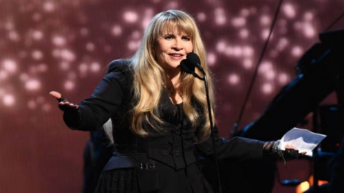 stevie nicks net worth