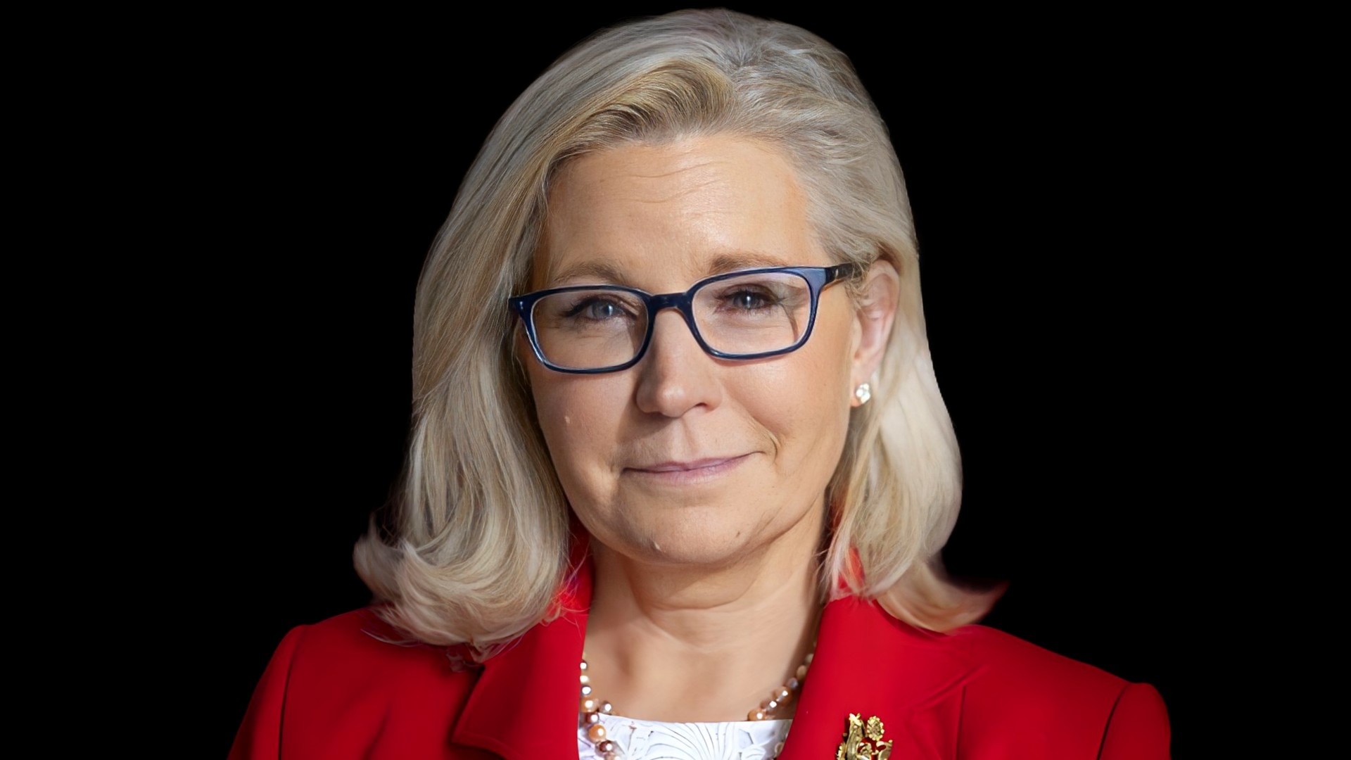 liz cheney net worth