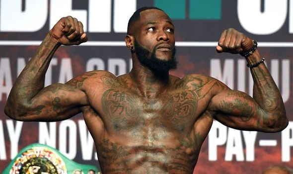 deontay wilder net worth